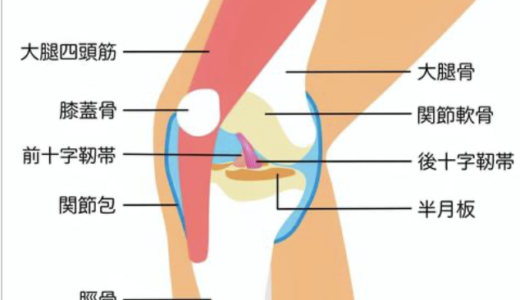 怪我予防の一例　前十字靭帯損傷