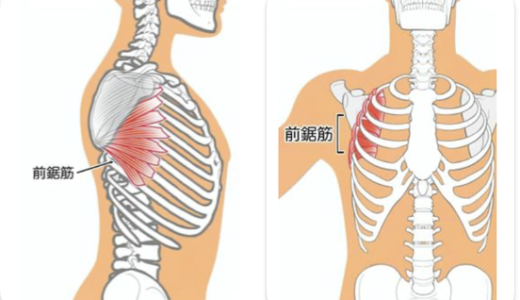 前鋸筋のトレーニング・メリット