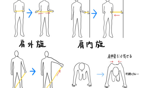 ローテーターカフ（肩回旋筋腱板）は肩を支えるゴムバンド